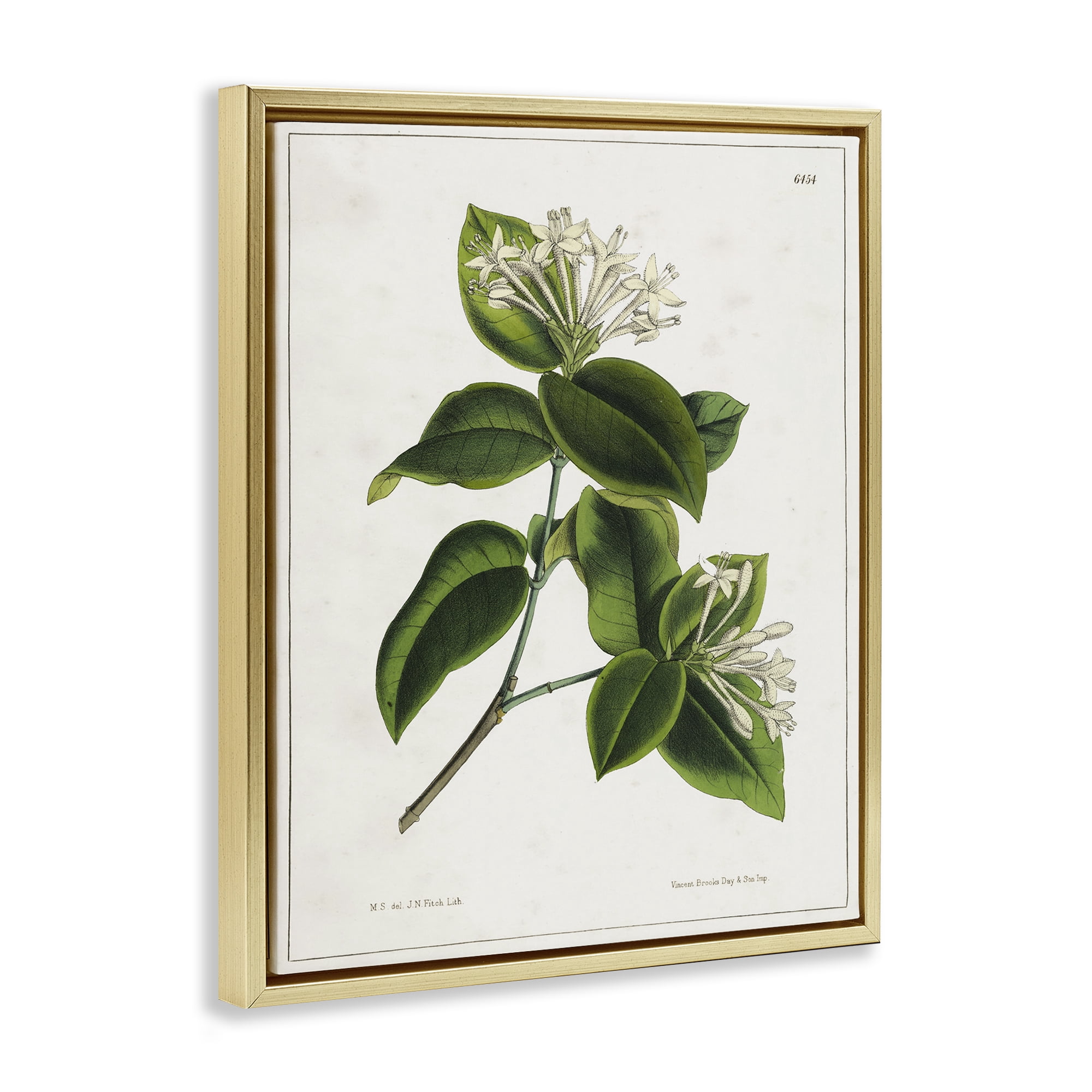 Stupell Industries Blooming Vintage Study Plants & Flowers Painting Gold Floater Framed Canvas Art Print Wall Art, 17 x 21