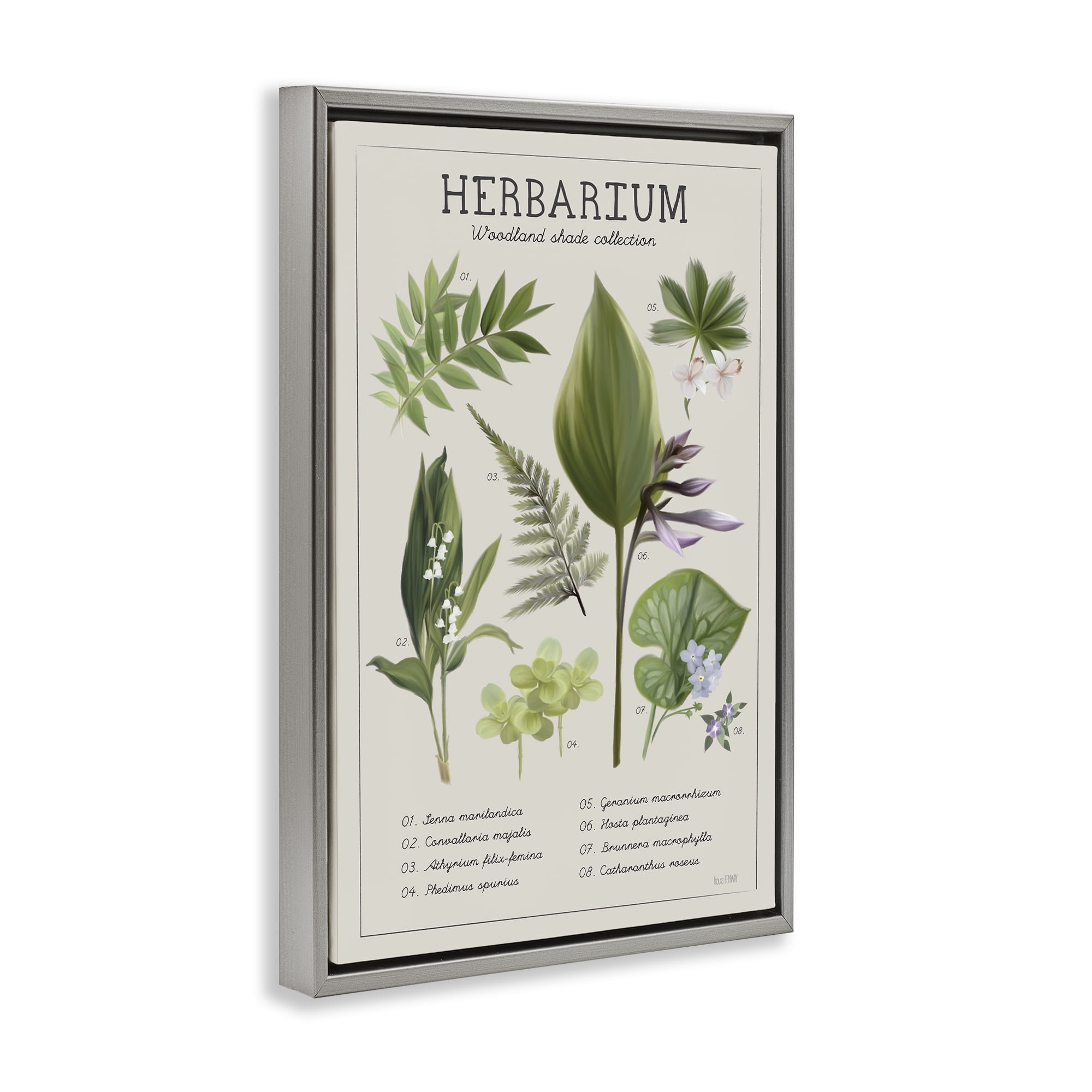 Stupell Industries Herbarium Woodland Shade Collection Gray Framed Floater Canvas Wall Art, design by House Fenway