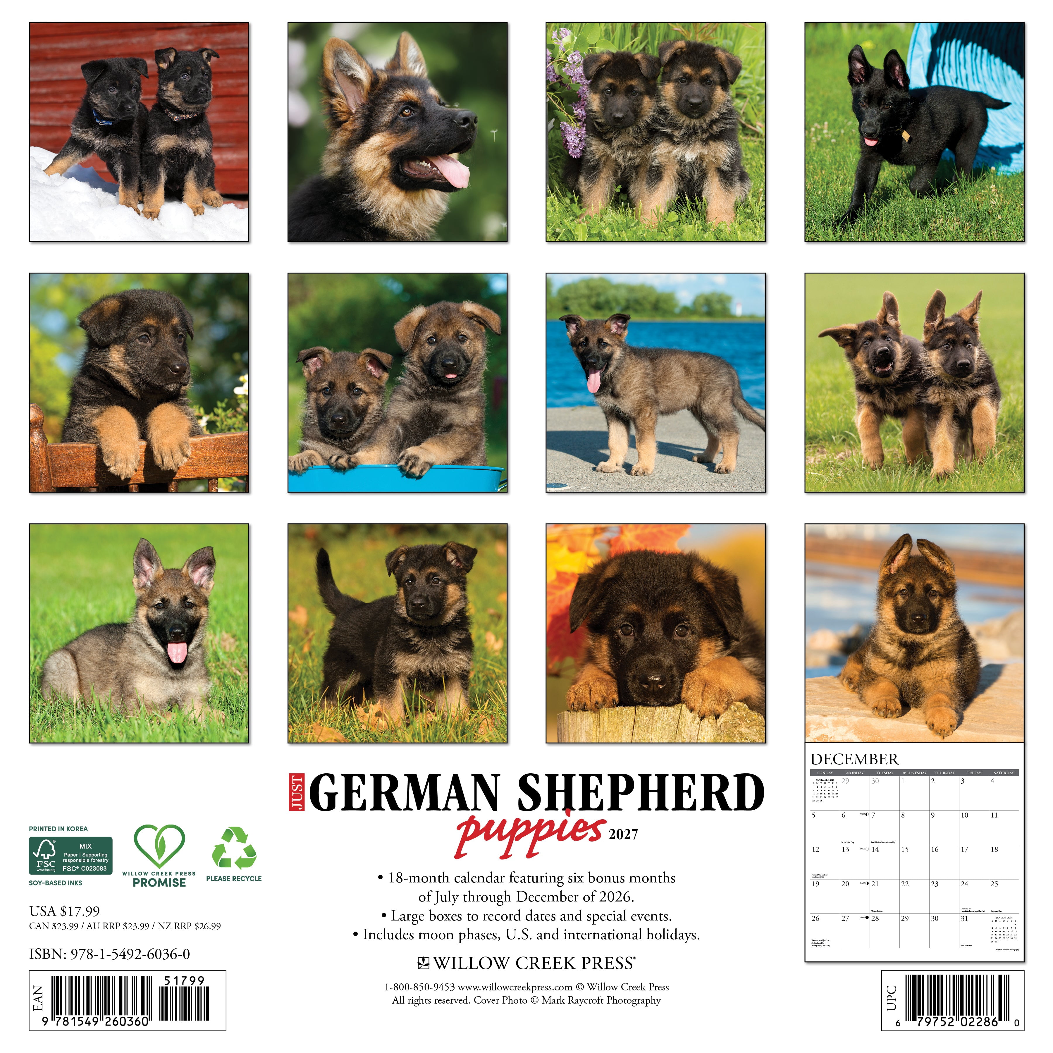 Willow Creek Press, German Shepherd Puppies 2027 Wall Calendar