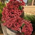 thumbnail image 4 of VVYXX 6PCS Fake Artificial Flowers Red Violet Long Stems Realistic Faux Silk Violet Bouquets Wedding Bridal Shower Centerpieces Floral Arrangements Party Mothers' Day Gift, 4 of 7
