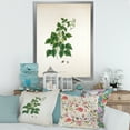thumbnail image 3 of Designart 'Ancient London Plants VIII' Farmhouse Framed Art Print, 3 of 4
