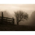 thumbnail image 2 of Triebert, Christine 18x15 Gold Ornate Wood Framed with Double Matting Museum Art Print Titled - Mountain Meadow Farm, 2 of 4
