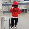 thumbnail image 3 of Wunder Spiderman Jacke Kinder Kapuze Sudadera Jacke Baby Junge Frühling und Herbst Cardigan Top Warme Jacke Geburtstags geschenk, 3 of 5