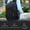 Gray[cite: 1], variant on M Buder Laptop Backpack For 17 Inch / 43.18 cm Laptop Bag With USB Port Fashion Waterproof Gray[cite: 1]