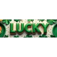 thumbnail image 4 of St Patricks Day Backdrop Banner Shamrock Decorations Irish Luck Party Background Flower Props Green Hat Festival Decor Gift Events Photography, 4 of 4