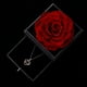 Rose Éternelle Fait à la Main Préservée Vraie Rose avec Amour Vous Collier 100 Langues Cadeau – image 5 sur 5