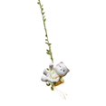 thumbnail image 1 of Almencla Swinging Figurine Ornament Animal Garden Statue for Patio Entrance Courtyard Cat, 1 of 8