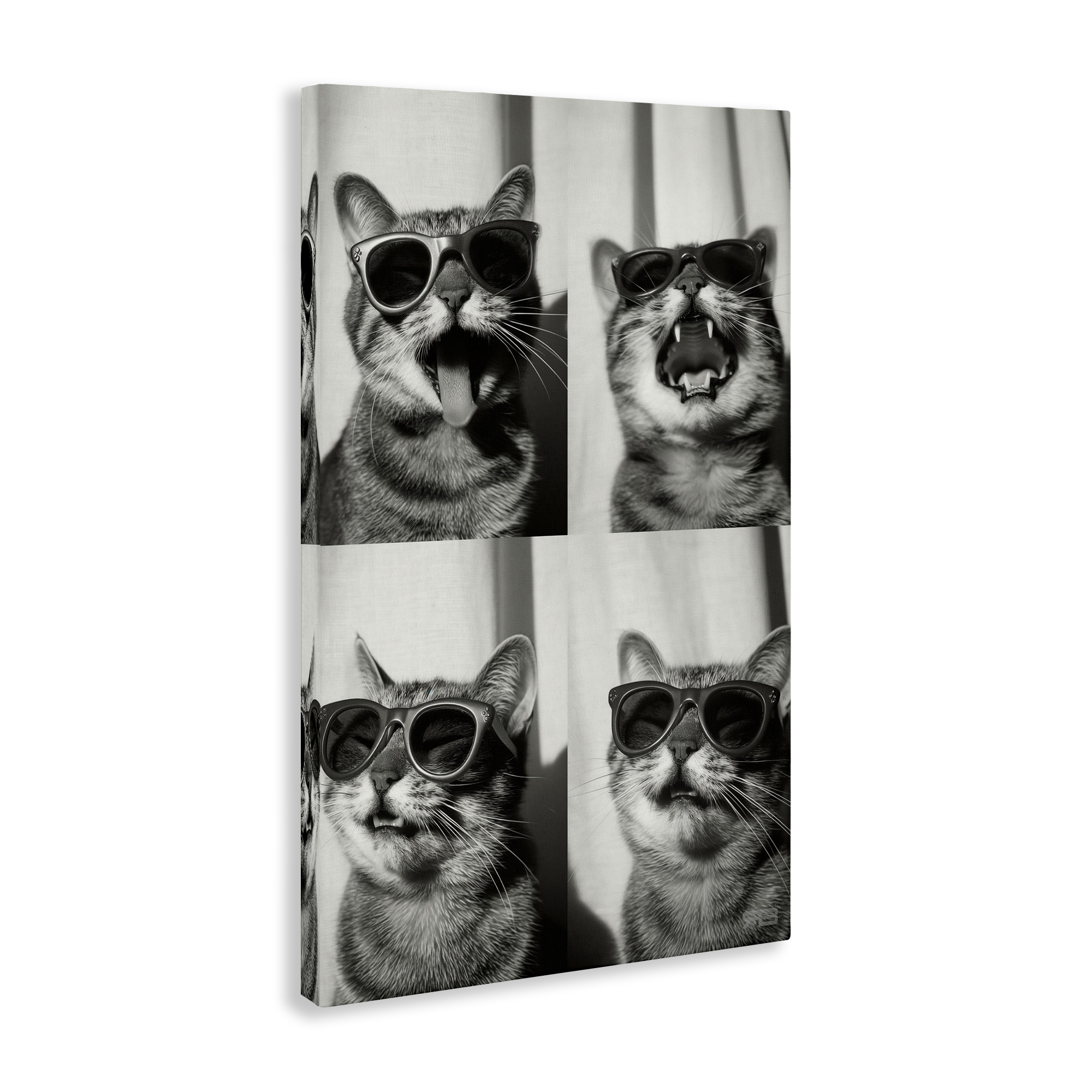 Stupell Industries Photobooth Style Cat Novelty Painting Gallery Wrapped Canvas Art Print Wall Art, 20 x 30