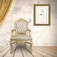 thumbnail image 3 of Gould, John 23x32 Gold Ornate Wood Framed with Double Matting Museum Art Print Titled - Bicheno’s Finch-Estrelda Bichenovii, 3 of 4