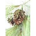 thumbnail image 3 of 40" Faux Long Needle Pine Swag (w/o bow), 3 of 7