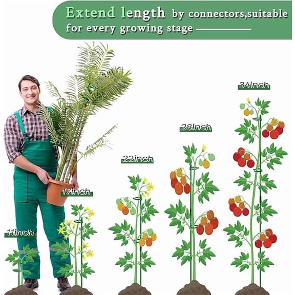 3Pcs Plant Support Poles Phalaenopsis Flower Climbing Fixed Frame for Indoor Gardening Potting Fixing Tool for Tall Stems