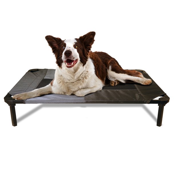 Lucky Dog 36'' Elevated Pet Bed Comfort Cot Gray