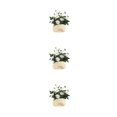 thumbnail image 3 of Kearding Simulación de bonsái, macetas artificiales, flores falsas, plástico, cerámica, decoración decorativa, alivio de la presión, Type1 NO1, 3 of 6