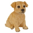 thumbnail image 1 of Design Toscano Statue de Chien de Collection de Partenaire de Chiot Golden Retriever JQ100671, 1 of 1