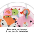thumbnail image 3 of Fisher-Price Infant-to-Toddler Rocker - Soothing Infant Seat, Pink Critters, 3 of 12