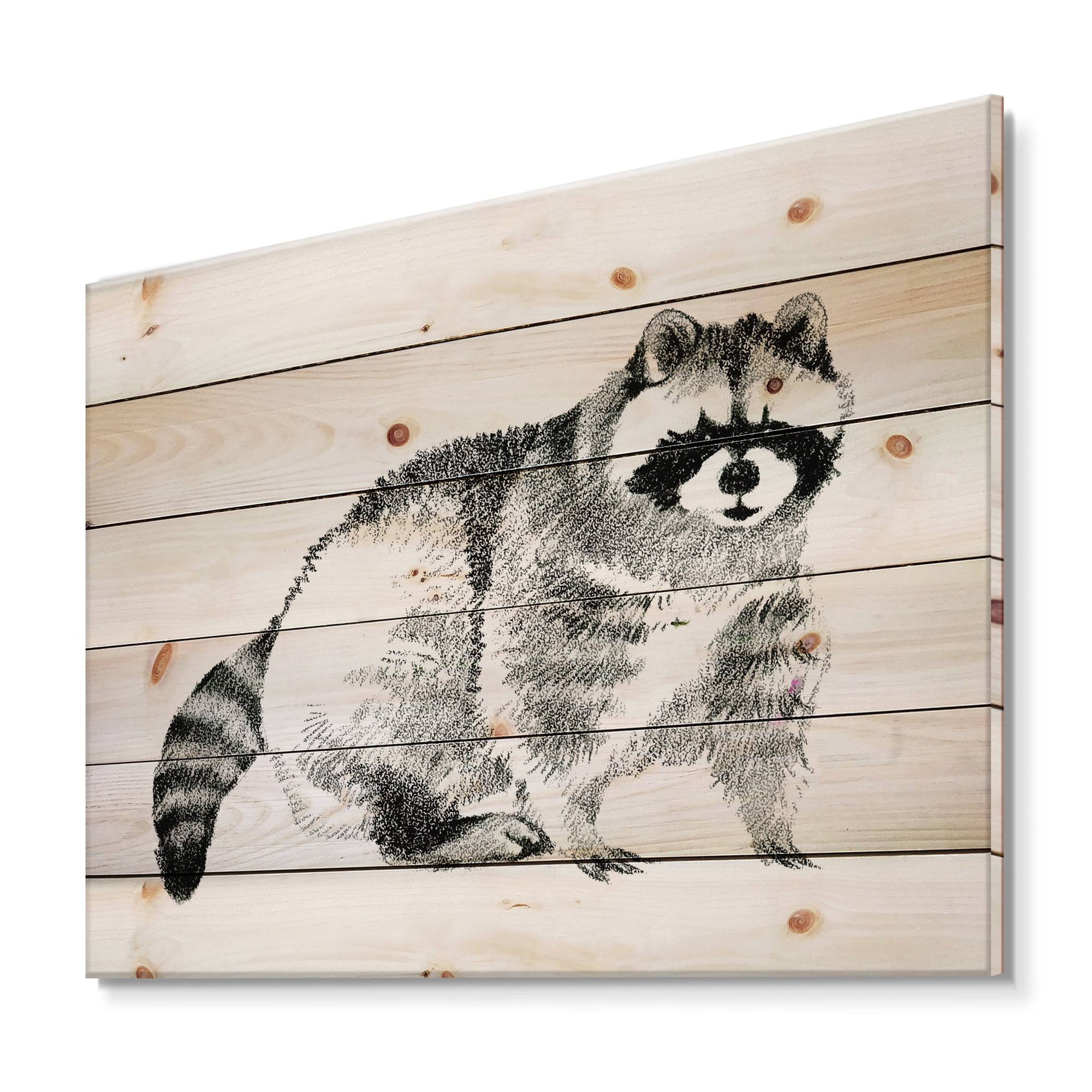 Designart 'Black and White Portrait Of Raccoon' Farmhouse Print on Natural Pine Wood