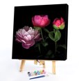 thumbnail image 1 of Cuadros Decorativos Kit de pintura al óleo de peonía herbácea china por números dibujo sin marco DIY (B2188) Wdftyju embutido en tela, 1 of 9