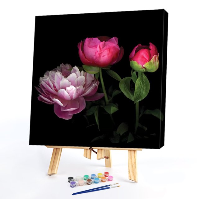 Cuadros Decorativos Kit de pintura al óleo de peonía herbácea china por números dibujo sin marco DIY (B2188) Wdftyju embutido en tela