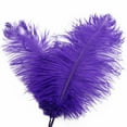 thumbnail image 2 of 1*Feather Clearance! About 32 Cmcolorful Feathers Wedding Decoration Flower Arrangement Stage Clothing Decoration, 2 of 7