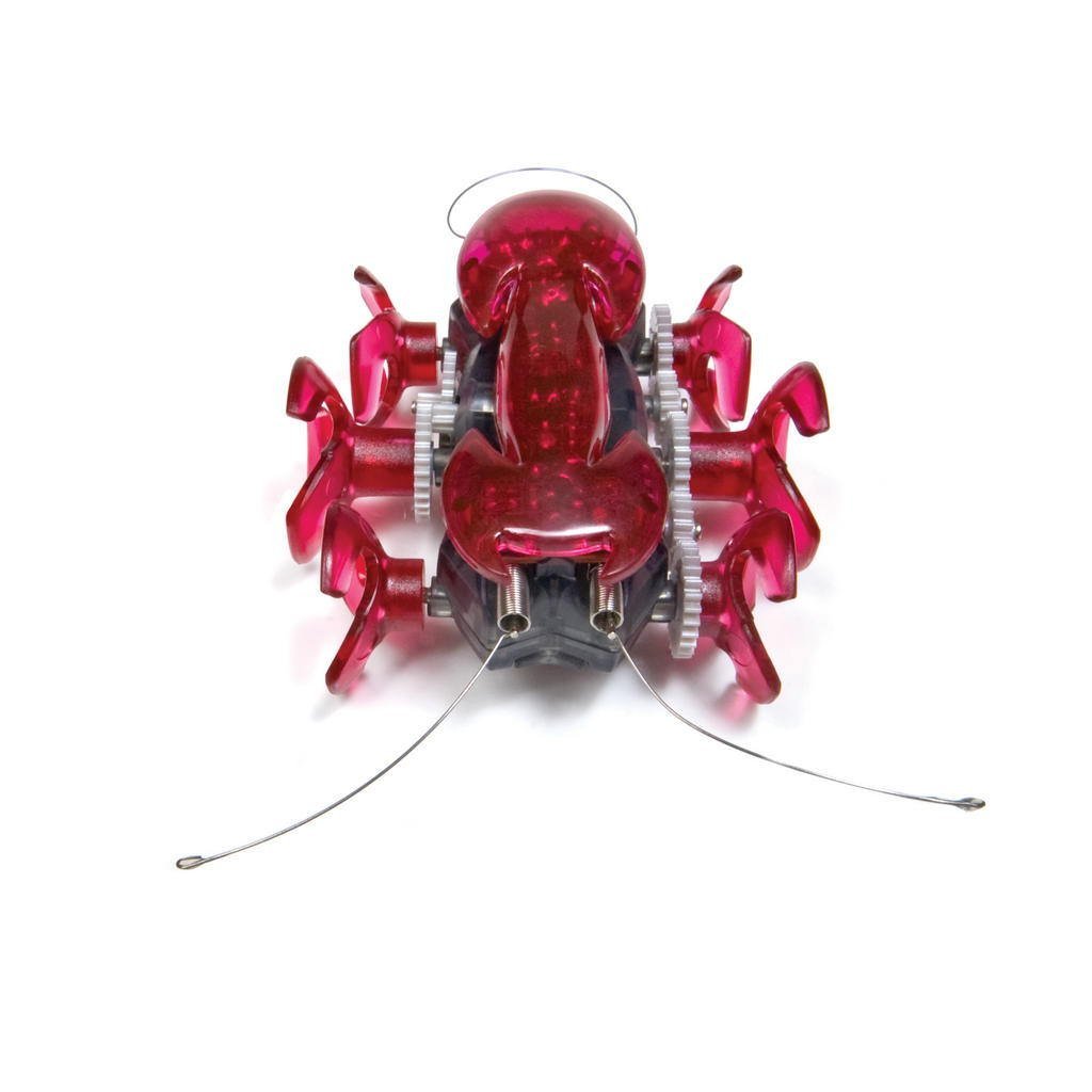 hex bugs fire ant
