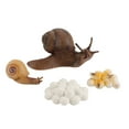 thumbnail image 2 of Agiferg 4 Piece Insect Figure Animal Life Cycle Plastic Brood To Mature Period, 2 of 3