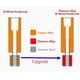 thumbnail image 5 of 2X Bimetal Heatbreak Cobre Titanio TC4 Garganta de Alta Temperatura para S, Pro, Vyper 3D Partes de la Impresora, 5 of 5