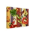 thumbnail image 2 of Trademark Fine Art 'Sarape Peppers II' Canvas Art by Jade Reynolds, 2 of 4