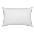 thumbnail image 5 of 16x12 or 12x16 | Indoor Outdoor Hypoallergenic Polyester Pillow Economical Insert, 5 of 7