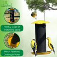 thumbnail image 2 of Songbird Essentials Thistle Bird Feeder Yellow Bird Seed Finch Feeder, 1/2 lb. Capacity, 2 of 8