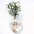 thumbnail image 2 of Coofit 2PCS Glass Vase Creative Wall Mounted Plant Terrarium Flower Vase Flower Pot, 2 of 4