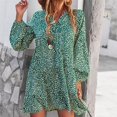 thumbnail image 2 of Vestido de mujer estampado de manga larga con cuello en V y estampado de leopardo casual Fridja  NMB3372, 2 of 6