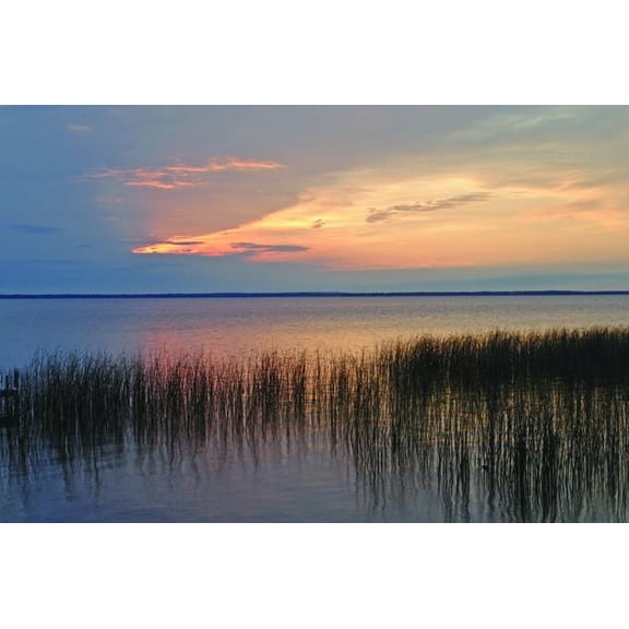 Hogan Lake I Wall Decal