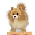 thumbnail image 1 of Bearington Rudy Pomerania Peluche Pomerania Perro Cachorro, 13 pulgadas Bearington Bearington Collection, 1 of 2