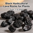 thumbnail image 2 of Black Lava Rocks for Plants, 350g Pure Volcanic Rock Lava Stones Top Dressing for Cacti Succulents Plants, Bonsai, 2 of 8