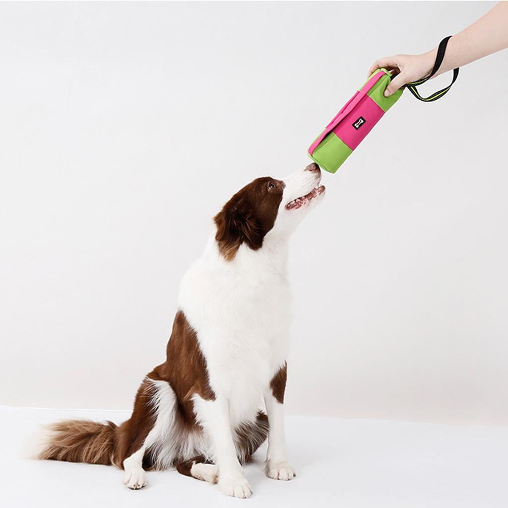 Pouch Dog Puppy Training Treat Pouch Outdoors Activities Pouch Dog Puppy Training Treat Pouch Outdoors Activities