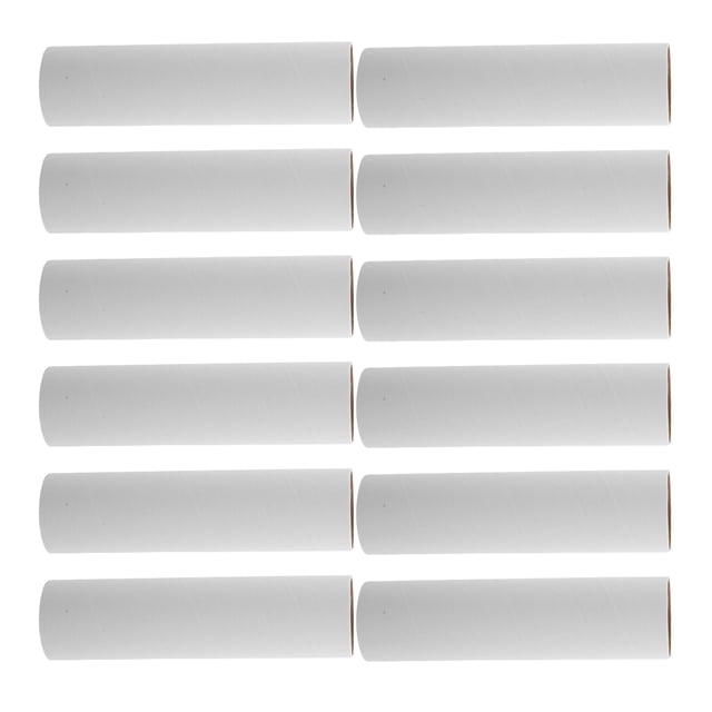 WRITWAA 15Pcs Portable White Cardboard Tubes for Crafting Drawing and Creative Use