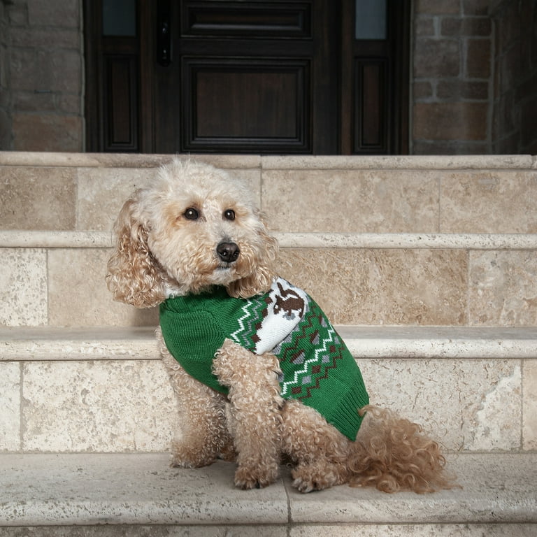 Vibrant Life Squirrel Dog Sweater, Green, M, among other Beagle