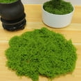thumbnail image 2 of Premium Natural Dried Green Moss for Crafts, Plant Decoration, Landscaping, Bonsai Pavement, Silky Fake Moss, 2 of 3