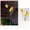 Yellow, variant on Solar Tulip Stake Lights, 31.5 Inch Outdoor Garden Pathway Lamp, Waterproof LED Flower Decor, for Yard Lawn Patio