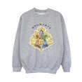 thumbnail image 1 of Harry Potter Boys Hogwarts School Emblem Sweatshirt, 1 of 3