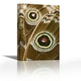 thumbnail image 1 of Blue Morpho butterfly wing with false eyespots, Ecuador - Contemporary Fine Art Giclee on Canvas Gallery Wrap - wall décor - Art painting - 17 x 27 Inch - Ready to Hang, 1 of 2