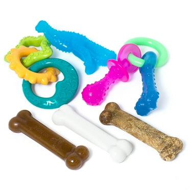Nylabone Puppy Starter Pack with Chew Toys, Teething Kit and Chew Treat Chicken & Bacon Small/Regular - Up to 25 Ibs. (6 Count)