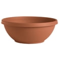 thumbnail image 7 of Bloem Terra 14" Round Resin Planter Bowl - Shallow Garden Pot for Cacti, Succulents, Herbs, Moss - Fade-Resistant with Knockout Drainage Holes, Terra Cotta, 7 of 7