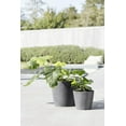 thumbnail image 3 of Ecopots Amsterdam Durable Modern Round Indoor/Outdoor Recycled Based Composite Flower Pot Planter, Grey, 10", 3 of 4