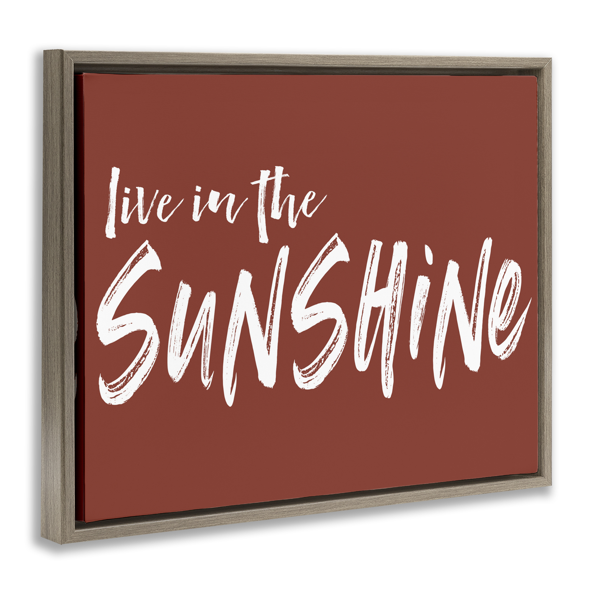 Live In The Sunshine Brown Brown Framed Floater Canvas Wall Art, design by Lettered and Lined
