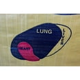 thumbnail image 2 of 450 X Field Point Bag Target 24 x 24 x 12, 450 FPS for Compound and Crossbows, 2 of 6