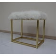 thumbnail image 2 of ACME Adao Vanity Mirror & Stool in Faux Fur Mirror Pink & Gold Finish, 2 of 4