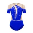 thumbnail image 1 of Rswnyirn Kids Girls Figure Skating Dance Leotard Rhinestones Short Sleeve Cutout Back Mesh Patchwork Blue 14, 1 of 5