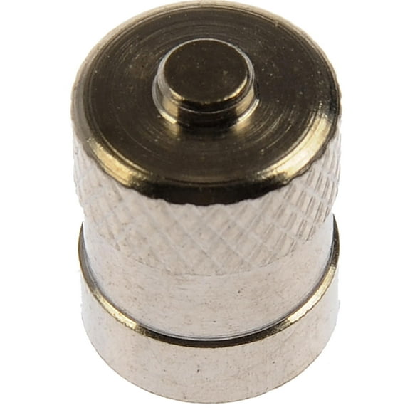 Dorman 609-131 Tire Pressure Monitoring System (TPMS) Valve Stem Cap , Pack of 50