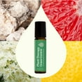 thumbnail image 3 of Plant Therapy Crave Control (Munchy Stop) Essential Oil Blend Pre-Dilute Roll-On 10 mL (1/3 oz) 100% Pure, Therapeutic Grade, 3 of 7